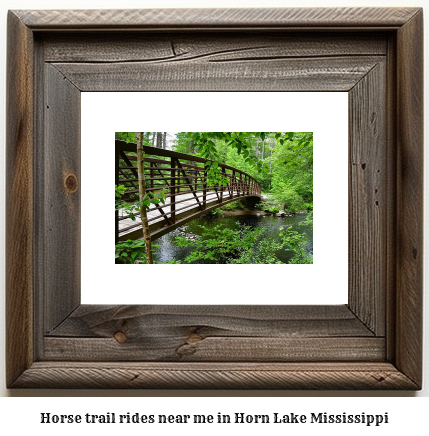 horse trail rides near me in Horn Lake, Mississippi